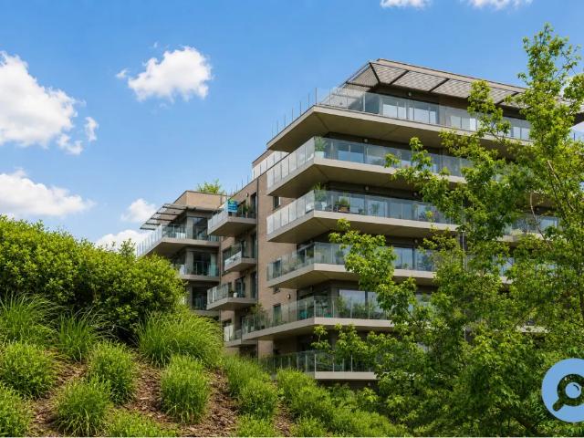 Appartement vente à Antwerpen
