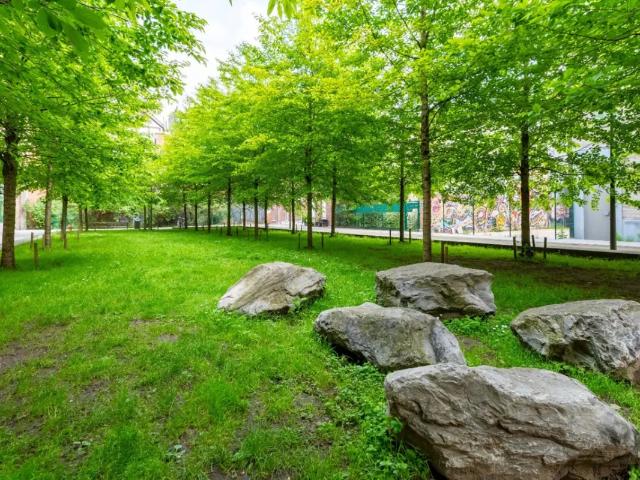 Appartement vente à Antwerpen