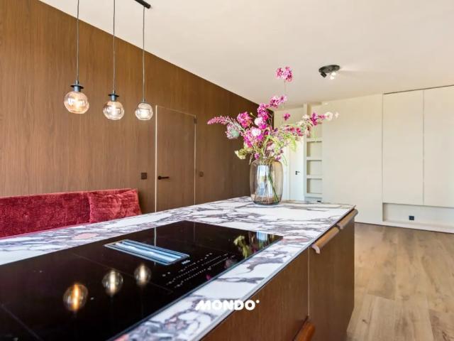 Appartement vente à Antwerpen