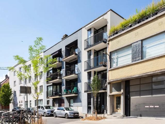 Appartement vente à Antwerpen