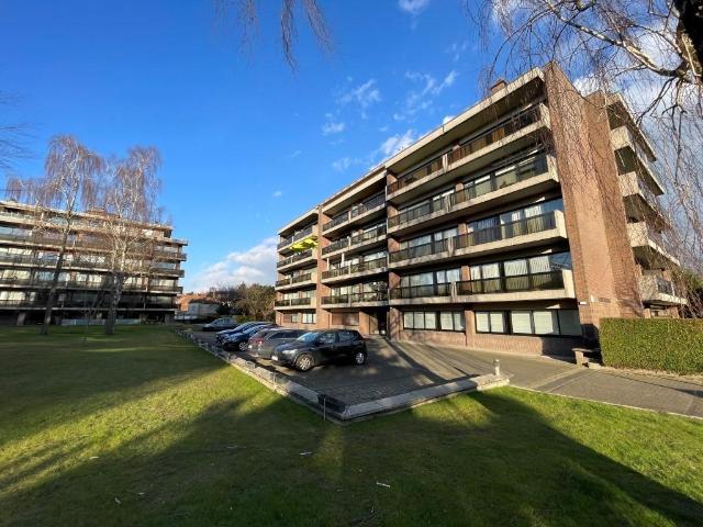 Appartement vente à Assebroek