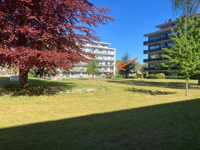 Appartement vente à Brugge, West-Vlaanderen