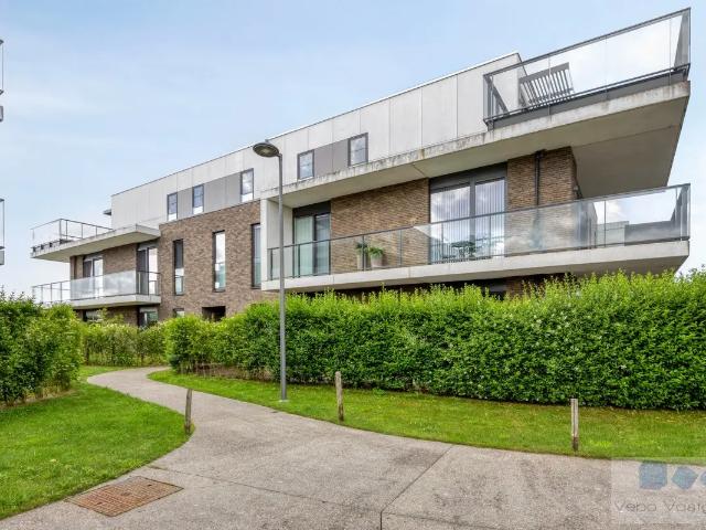 Appartement vente à Putte, Antwerpen