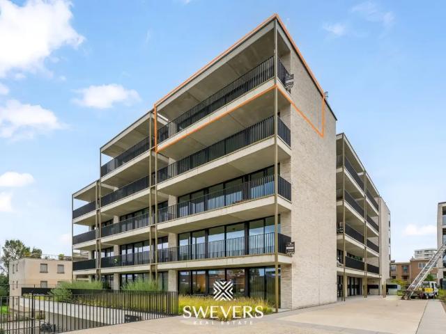 Appartement vente à Beringen, Limburg