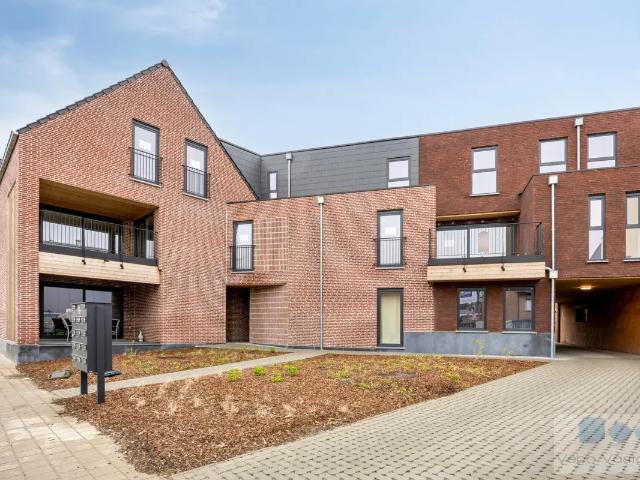 Appartement vente à Berlaar, Antwerpen