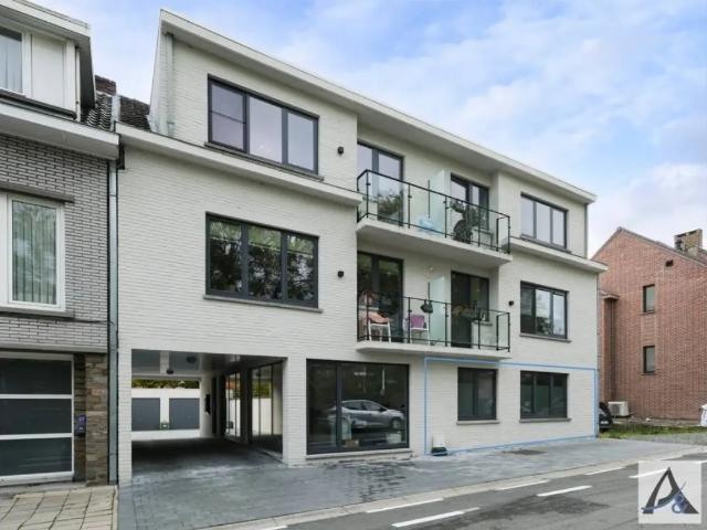 Appartement vente à Bilzen, Limburg