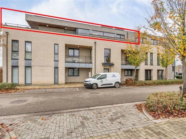 Appartement vente à Bilzen, Limburg