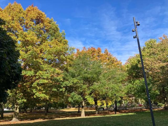 Appartement vente à Charleroi, Hainaut