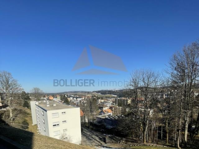 Wohnung kaufen in La Chaux-de-Fonds