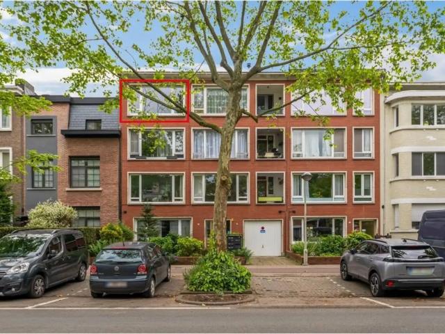 Appartement vente à Antwerpen