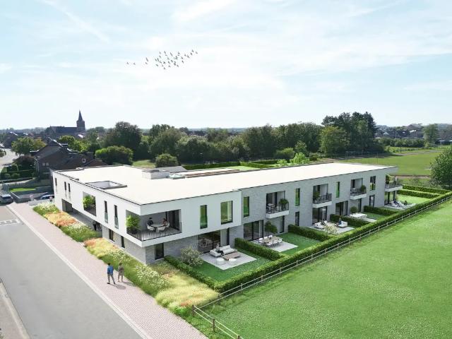 Appartement vente à Dilsen-stokkem, Limburg