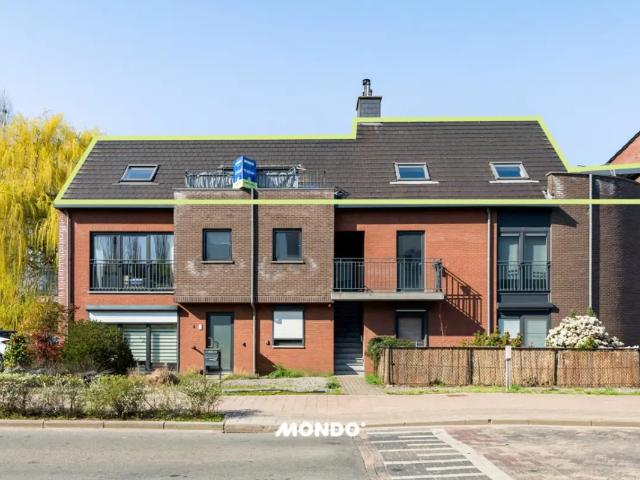 Appartement vente à Duffel, Antwerpen