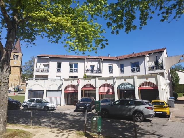 Duplex vente à Lyon, Métropole de Lyon