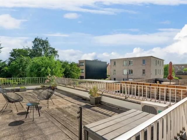 Appartement vente à Edegem