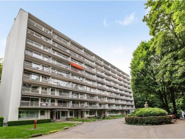 Appartement vente à Edegem