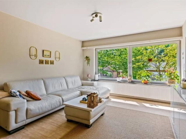 Appartement vente à Edegem