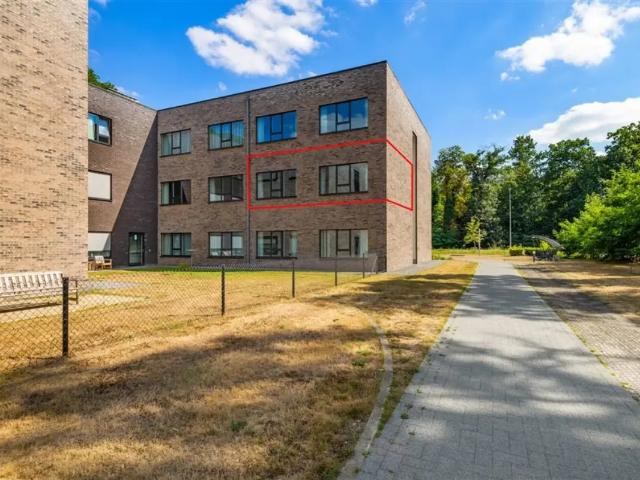 Appartement vente à Grobbendonk, Antwerpen