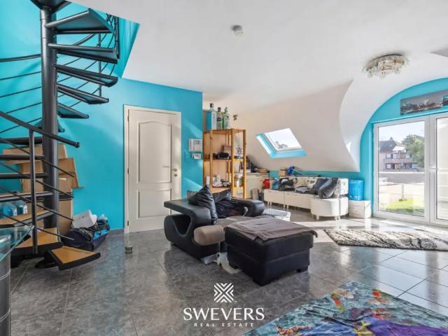 Appartement vente à Heilig Hartwijk, Hasselt