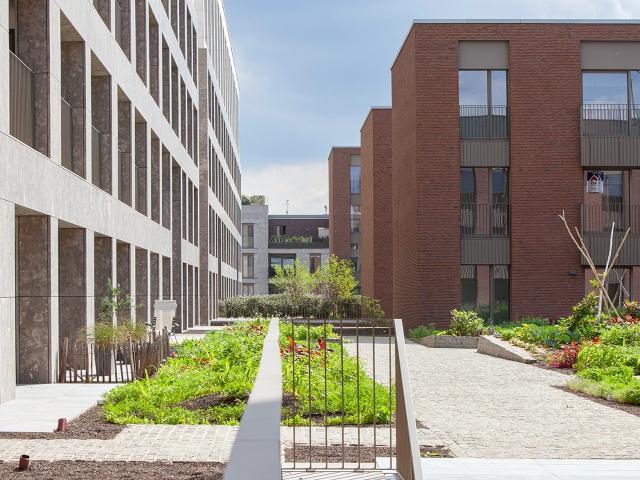 Appartement vente à Hasselt, Limburg