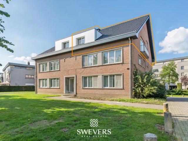 Appartement vente à Hollandsveld, Hasselt
