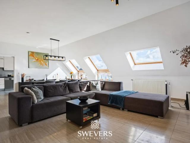 Appartement vente à Hasselt