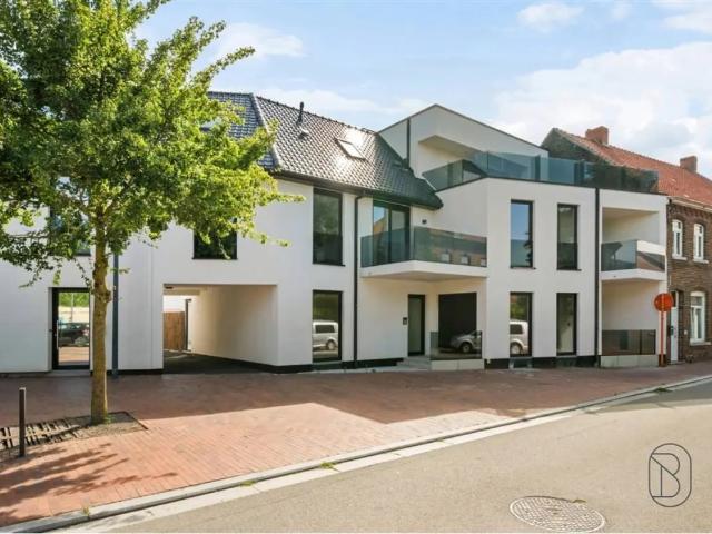 Appartement vente à Espierres-helchin, West-Vlaanderen