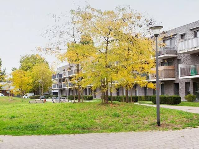 Appartement vente à Antwerpen