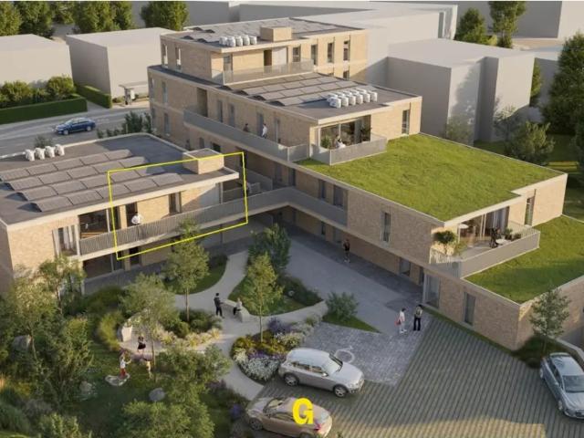Appartement vente à Hoeselt, Limburg