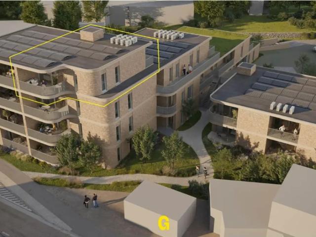 Appartement vente à Hoeselt, Limburg