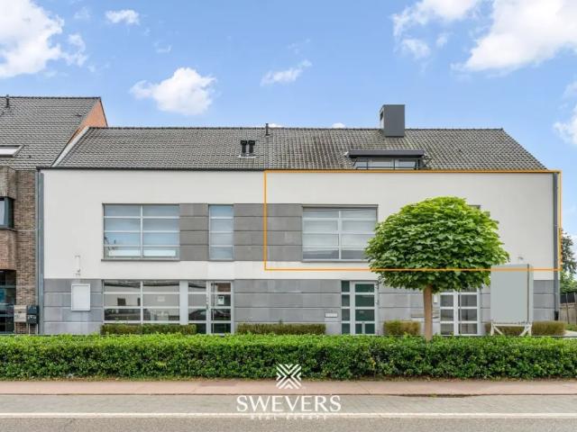 Appartement vente à Houthalen-helchteren, Limburg