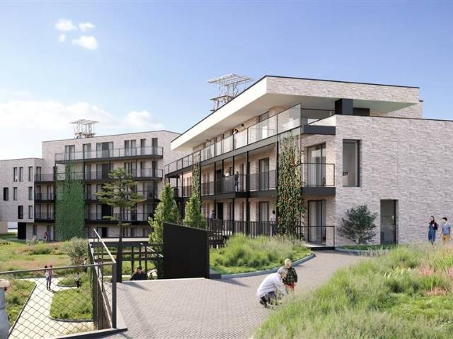 Appartement vente à Houthalen