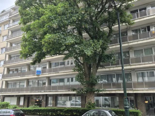 Appartement vente à Quartier de l’Aulne - Elswijk, Ixelles - Elsene