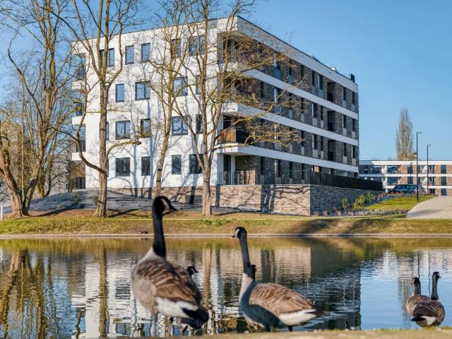 Appartement vente à Namen, Wallonie