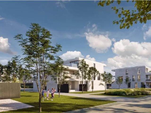 Appartement vente à Beringen, Limburg