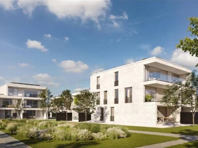 Appartement vente à Beringen, Limburg