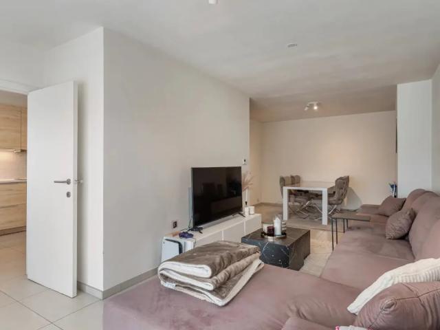 Appartement vente à Beringen, Limburg