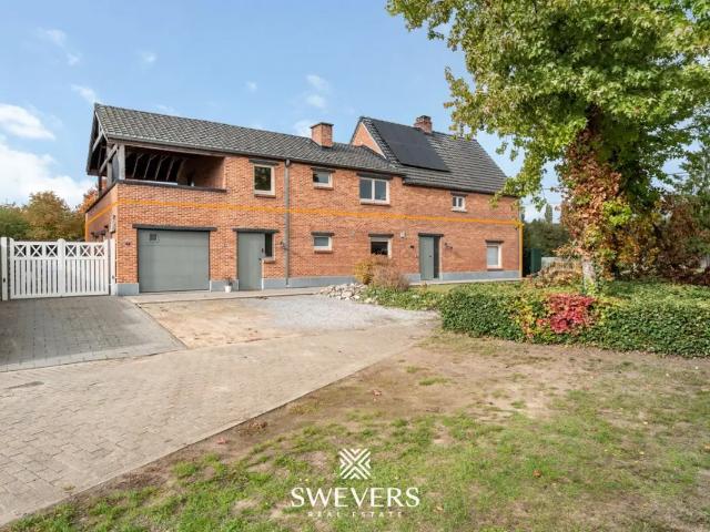 Appartement vente à Beringen, Limburg