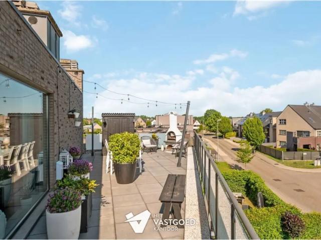 Appartement vente à Lommel, Limburg