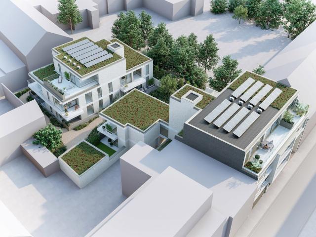 Appartement vente à Maaseik, Limburg
