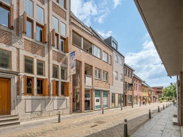 Appartement vente à Maaseik, Limburg