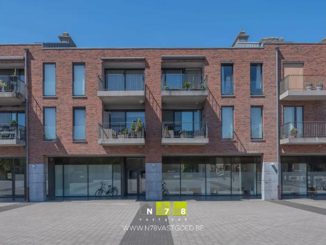 Appartement vente à Maaseik, Limburg