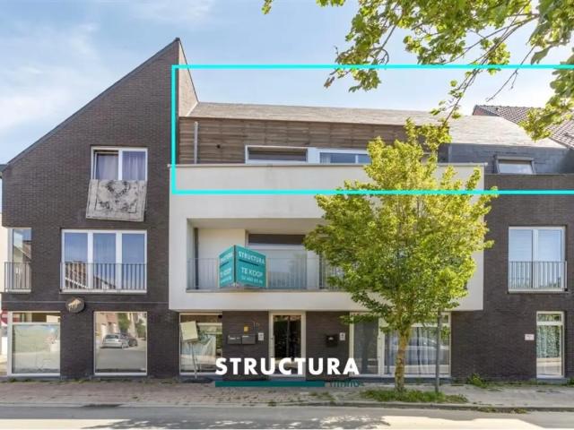 Appartement vente à Meise, Brabant