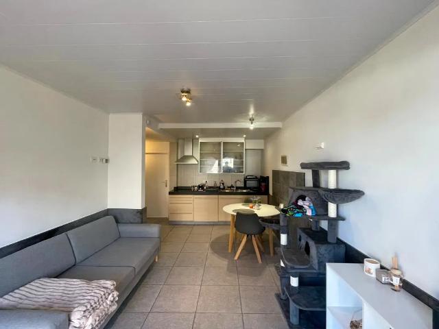 Appartement vente à Middelkerke, West-Vlaanderen