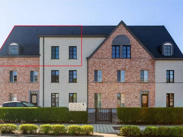 Appartement vente à Westerlo, Antwerpen