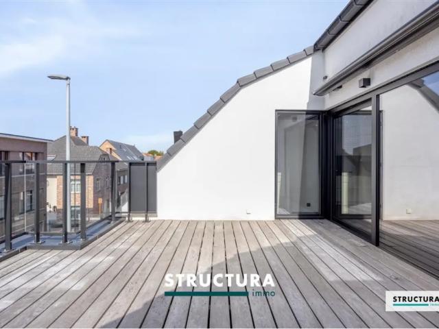 Appartement vente à Opwijk