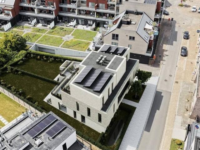 Appartement vente à Beringen, Limburg