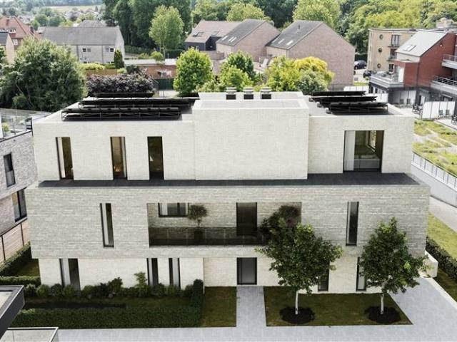 Appartement vente à Beringen, Limburg