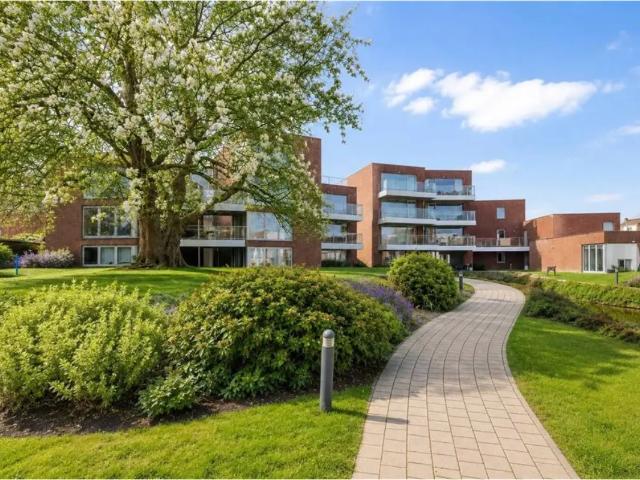 Appartement vente à Renaix, Oost-Vlaanderen