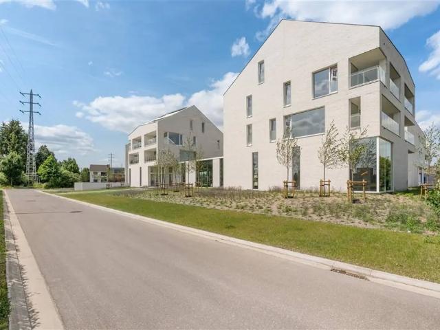 Appartement vente à Saint-trond, Limburg