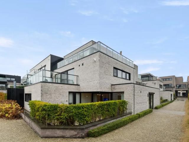 Appartement vente à Saint-trond, Limburg